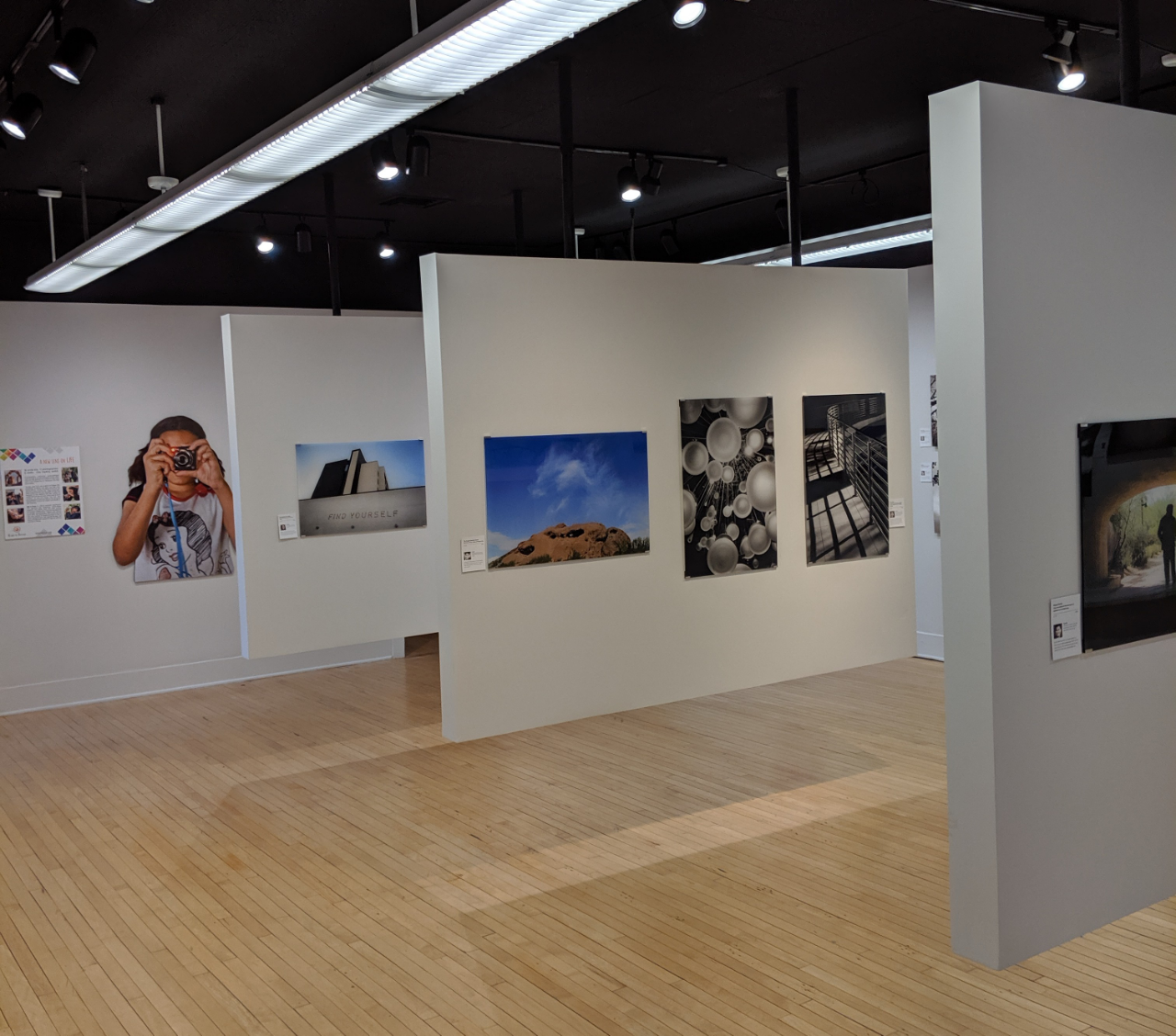 An exhibition installed in Gallery 4