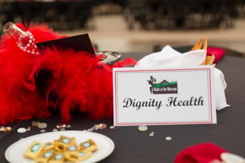 A Night at the Museum Gala