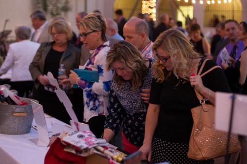 A Night at the Museum Gala