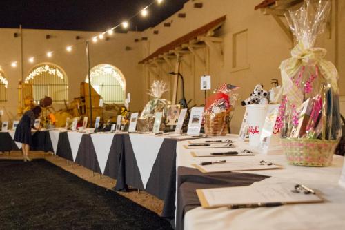 A Night at the Museum Gala